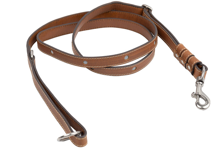 Adjustable Length Leash (Steel)