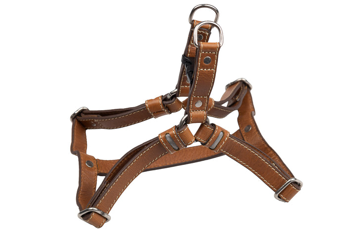 Classic Harness