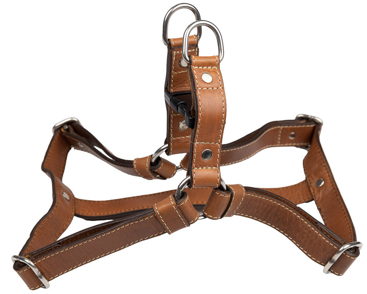 Classic Harness