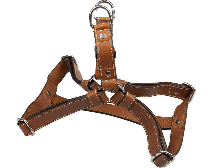 Classic Harness