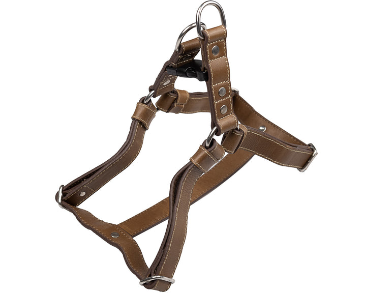 Classic Harness