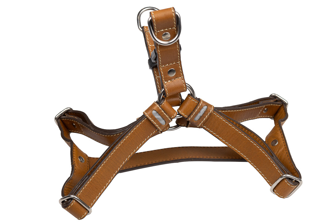 Classic Harness