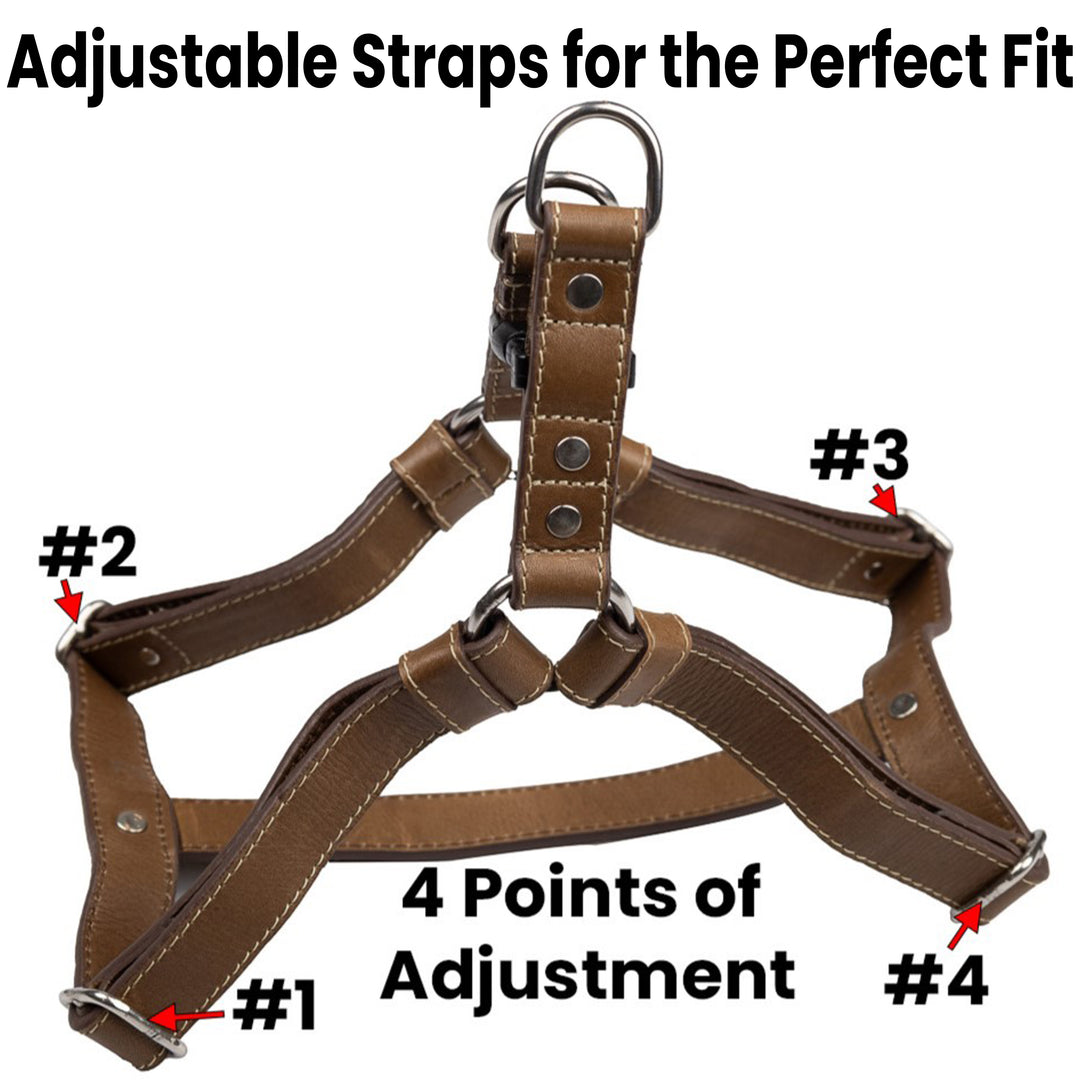 Classic Harness