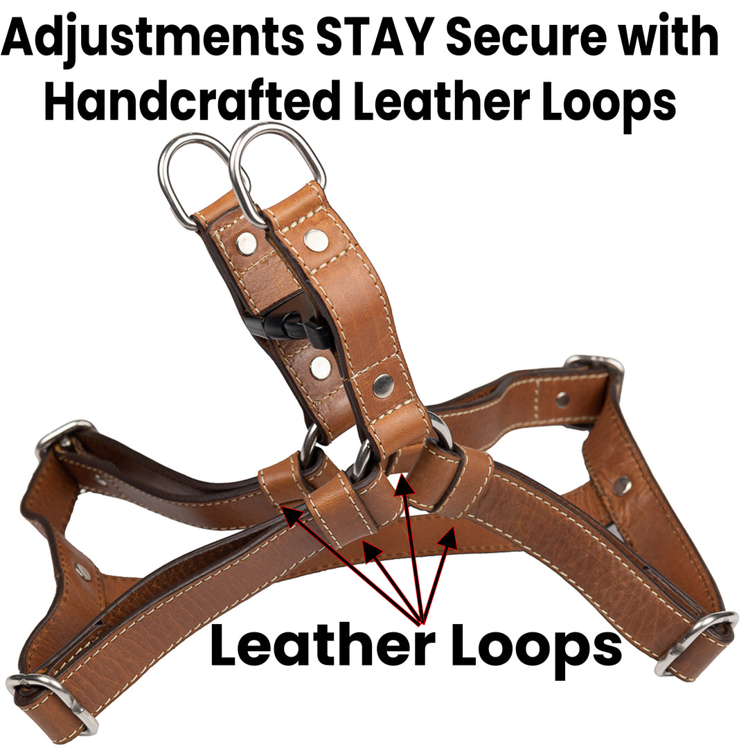 Classic Harness